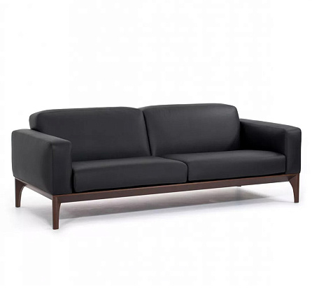 FIOTTO 3 Диван 3-мест. натуральная кожа 230x100x76 см черный/ декор табак