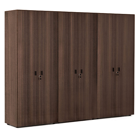 109 732 ECL 01 Шкаф для бумаг +гардероб 242x44xh197,5 Enzo эвкалипт мореный/ черный