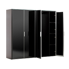LIB4/899 + LIBW/899 + LIBSH/899 BLACK GLASS Шкаф гардероб SIRIUS черный