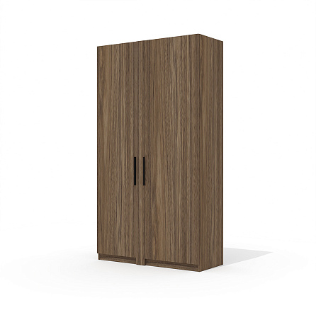 TS-48 + TS-9.1 Шкаф-гардероб Time.S Палдао